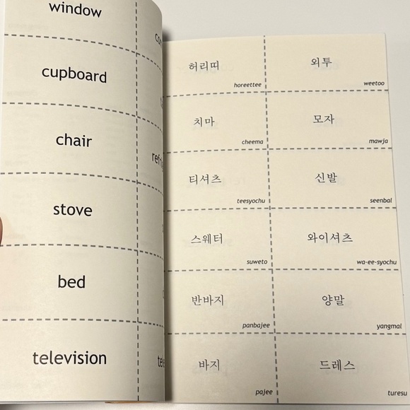 Learn Korean! K-Drama + K-Pop Fans: Your First 100 Words Workbook + Flash Cards - Picture 3 of 6